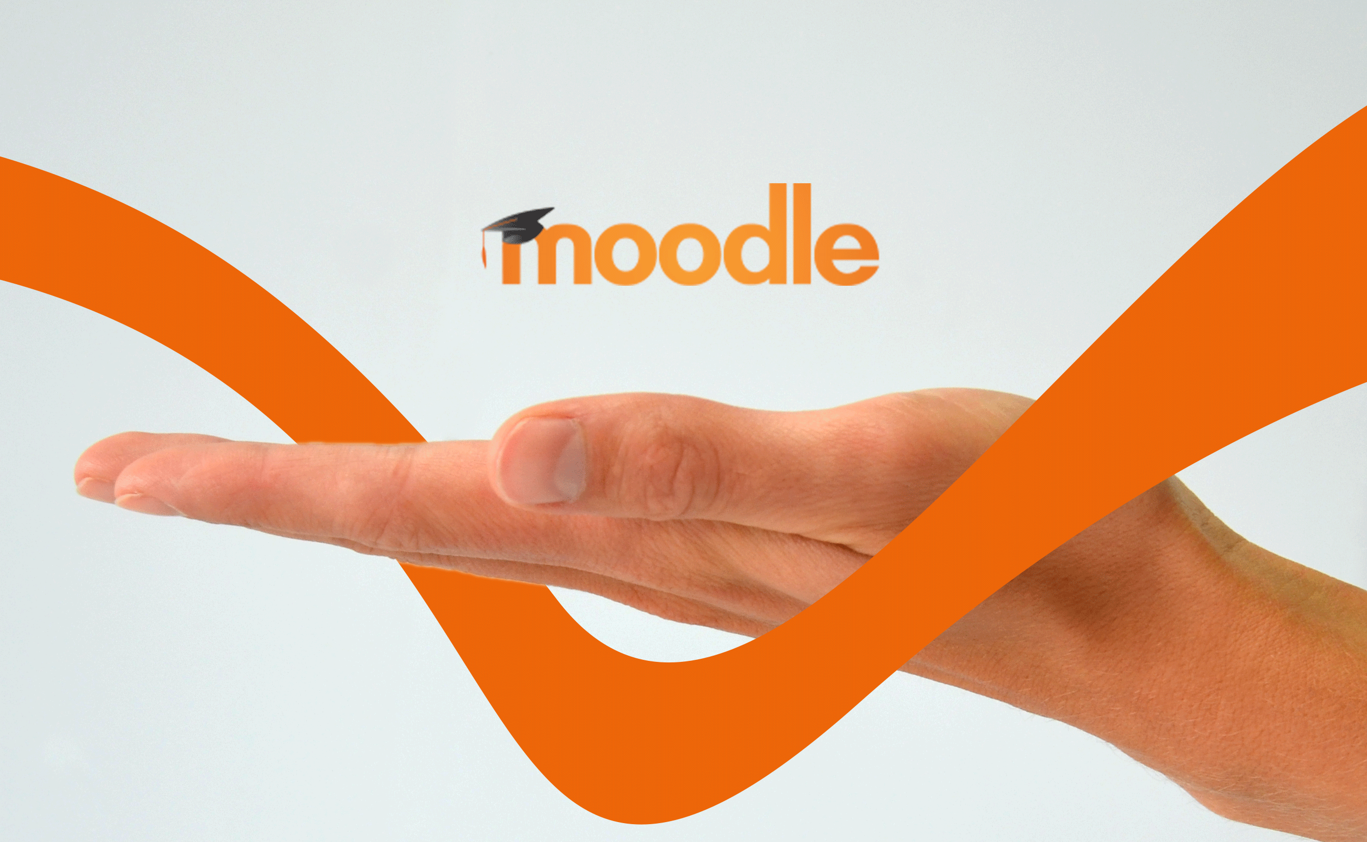 Scs_Hand_Moodle.png